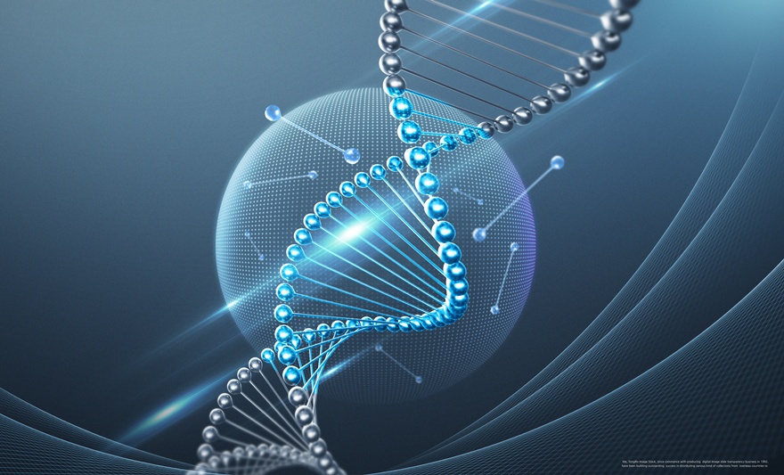 첨바증원ＴＨＵＭＢ